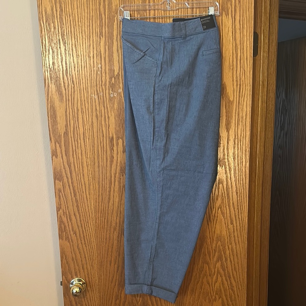 Lane Bryant Blue Ankle Cropped Pants Flat Front